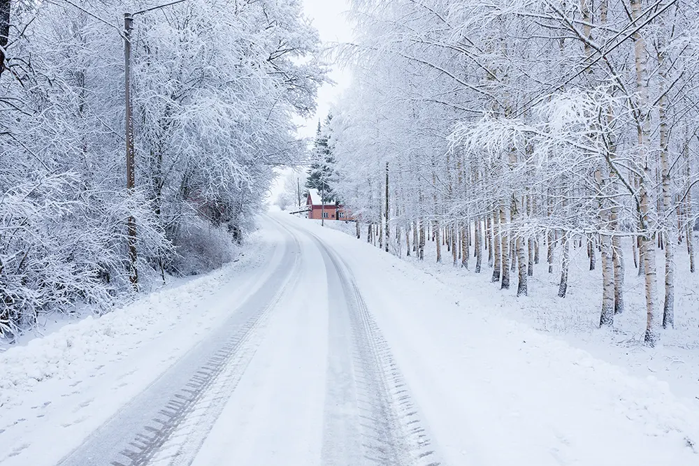 Small road in countryside at winter
