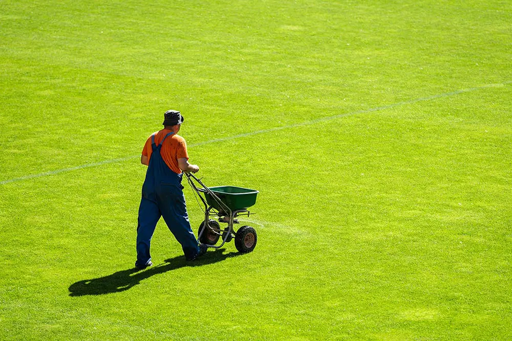 Groundsman spreads fertilizer for grass on a large field